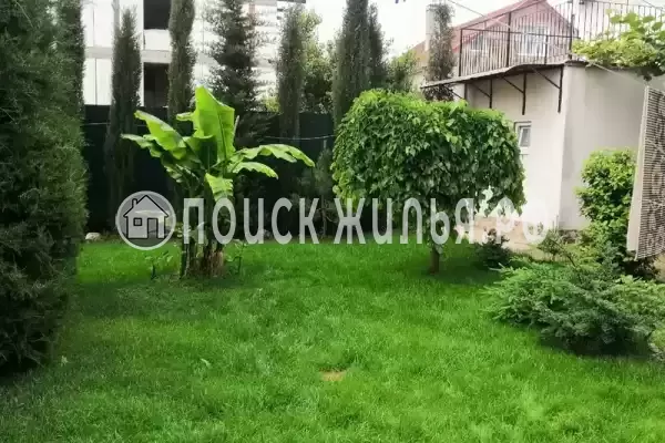 Гостевой дом «Оазис», Береговое Гостевой дом «Оазис», Береговое