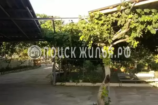 Гостевой дом «У Норика и Сусанны», Пицунда Гостевой дом «У Норика и Сусанны», Пицунда