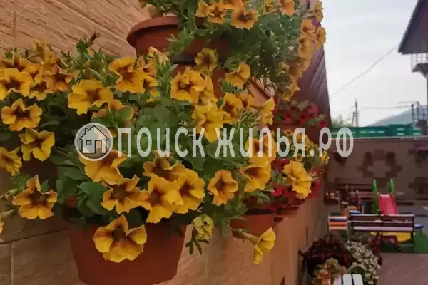 Гостевой дом «Абсолют», Геленджик