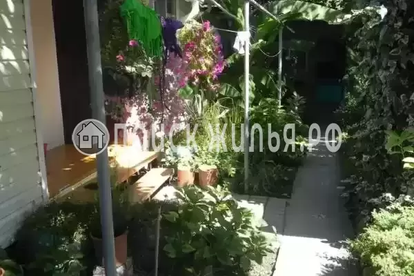 Частный сектор «Экзотический рай», Головинка