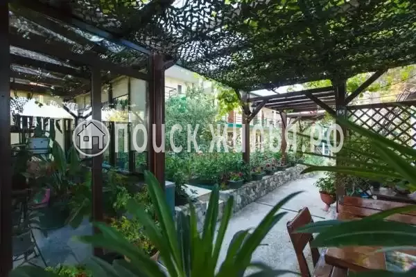 «Чайка», Дивноморское