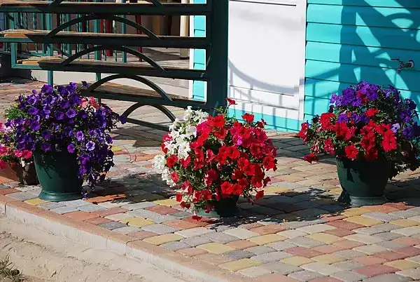 Гостевой дом «Чайка»