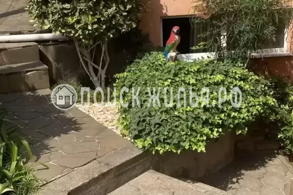 Гостевой дом «Бамбуковый рай», Сочи Гостевой дом «Бамбуковый рай», Сочи