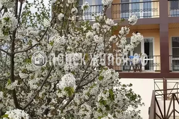 «Южныйветер.РФ», Архипо-Осиповка «Южныйветер.РФ», Архипо-Осиповка