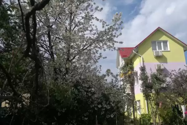 Гостевой дом «Фиалка»