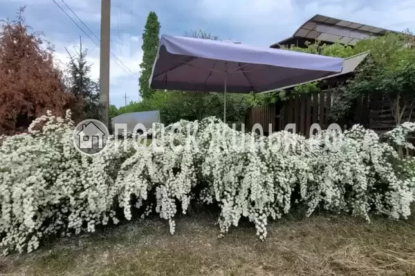 Частный сектор «Персиковый сад», Береговое