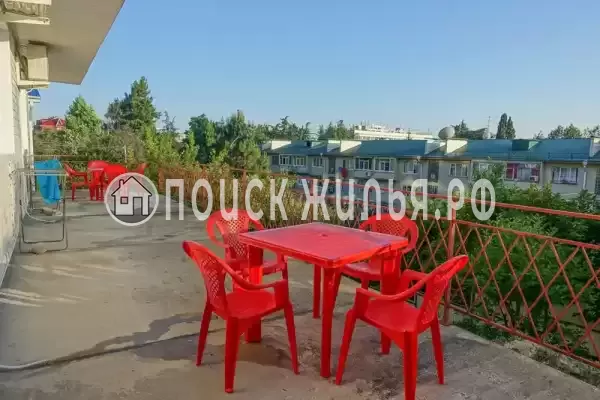 «Любава», Лазаревское «Любава», Лазаревское