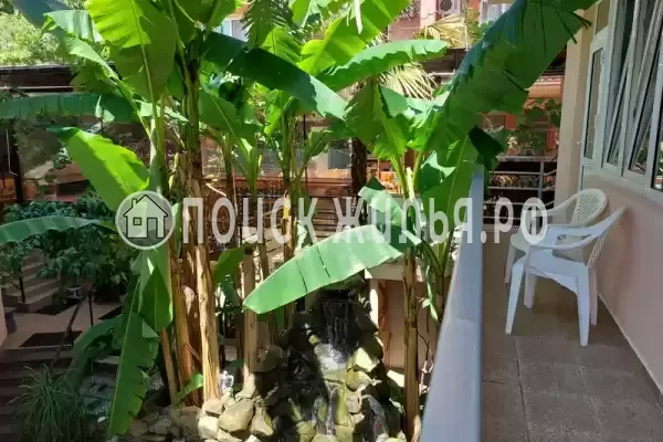 Гостевой дом «Арго», Лазаревское Гостевой дом «Арго», Лазаревское