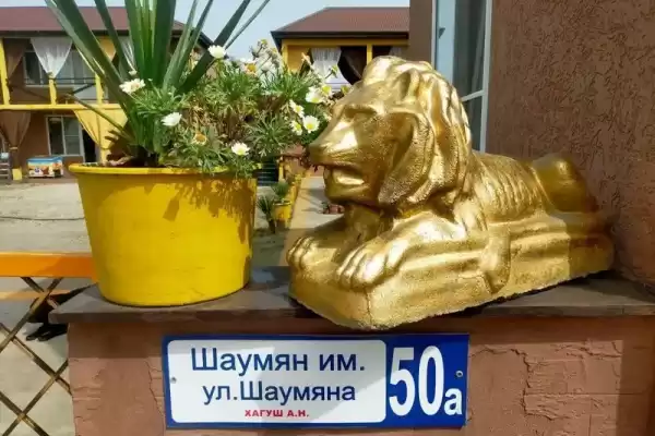 Гостиница «Дикая гавань»