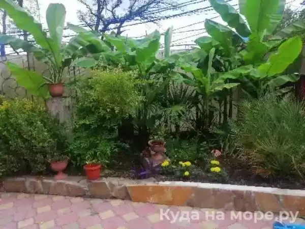 Гостевой дом «Вардане»