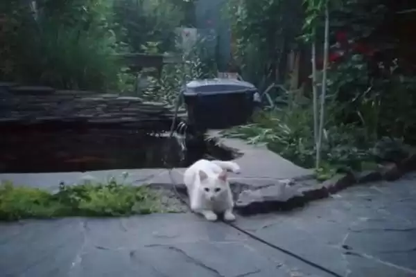 Дом под ключ «Как Дома»