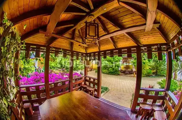 Гостевой дом «Villa Орхидея»