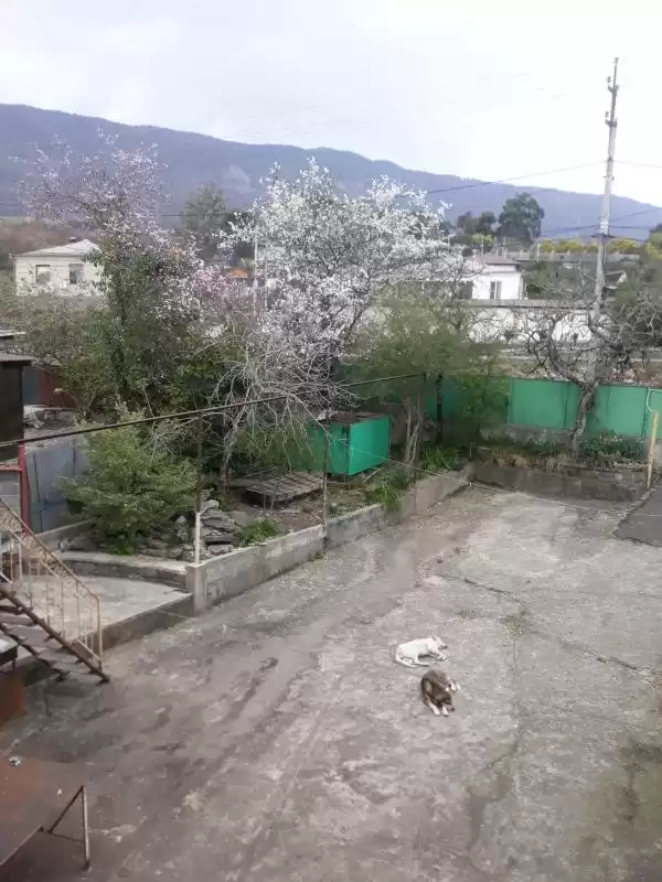 Гостевой дом «Марго»