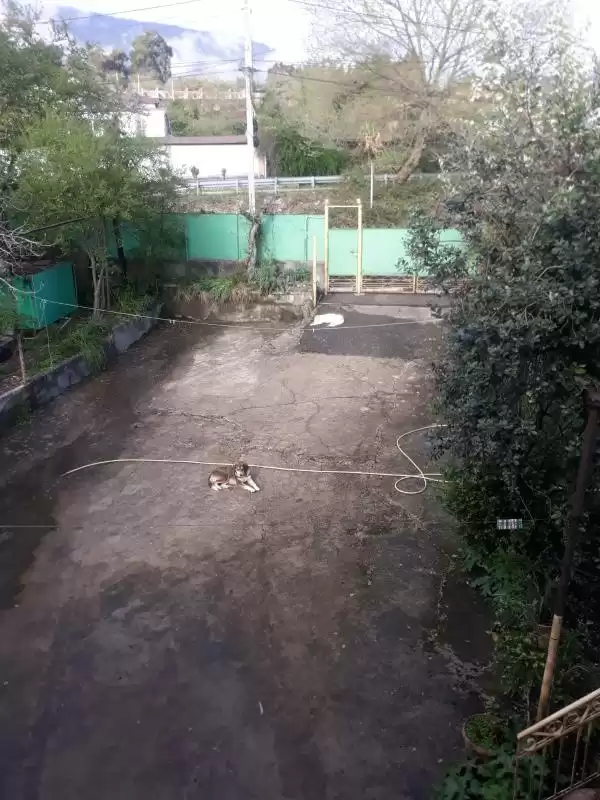 Гостевой дом «Марго»