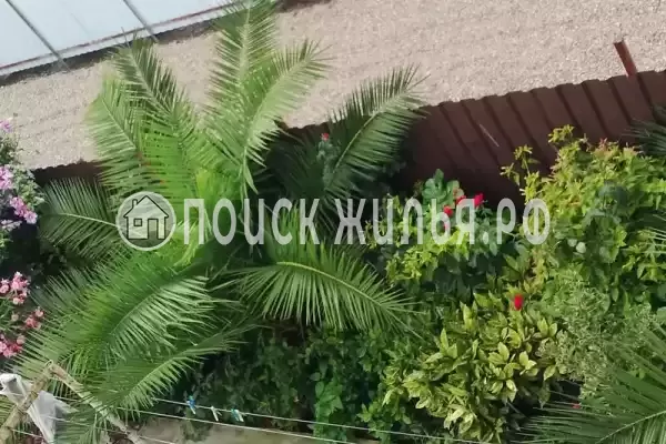 Гостевой дом «Marianna», Алахадзы Гостевой дом «Marianna», Алахадзы