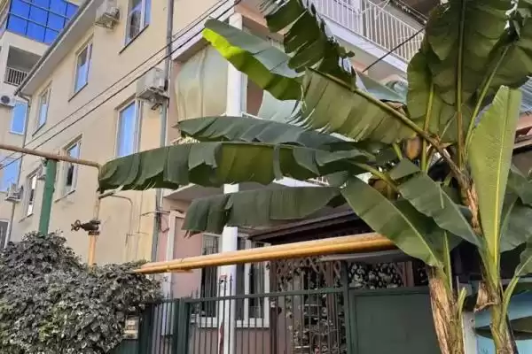 Гостевой дом, ул.Чкалова, д.30