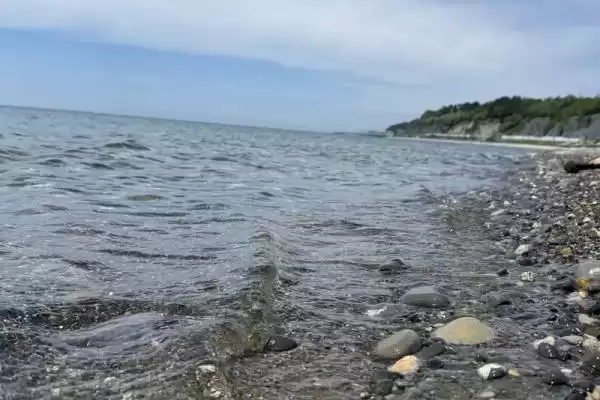 Частный сектор «Отдых у Дианы»