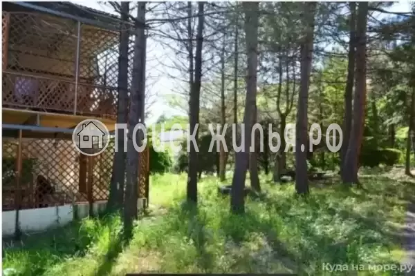 «Джульетта», Пляхо «Джульетта», Пляхо