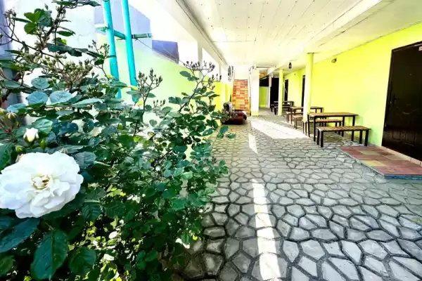 Гостиница «Парадиз»