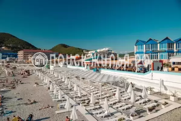 «Премьер», Ольгинка «Премьер», Ольгинка