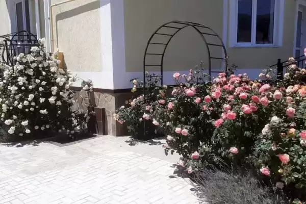 Гостевой дом «Светлана»