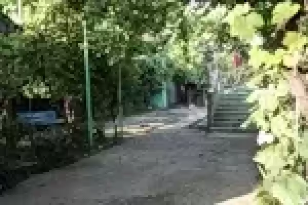 Гостевой дом «Лаура», Республика Абхазия, Гагры, Пицунда, пер. Апсны, д. 3