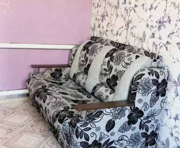 Дом/квартира под ключ «Весёлый енот»