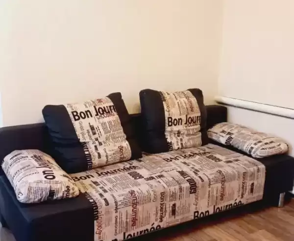Дом/квартира под ключ «Весёлый енот»