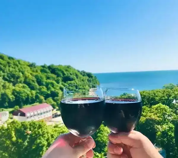 Отель «Орлан»