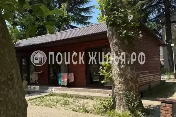 «Олеандр», Лазаревское «Олеандр», Лазаревское