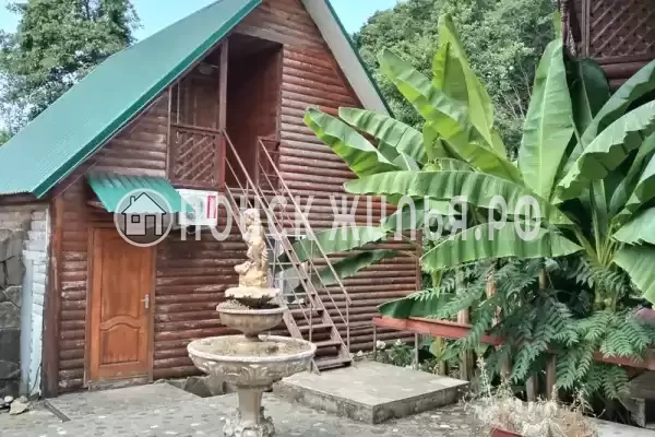 «Рид», Головинка