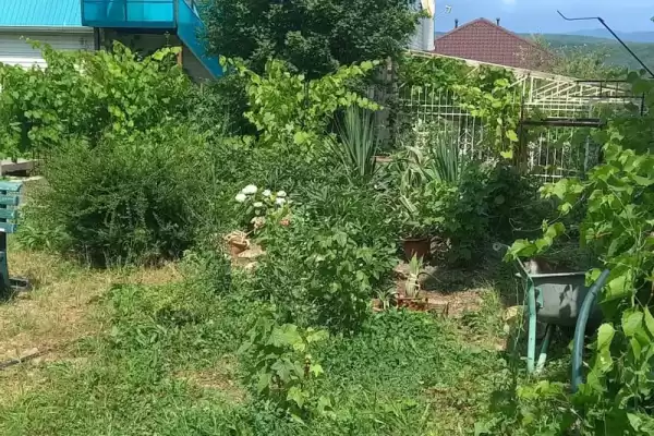 Гостевой дом «Солнечный ветер»