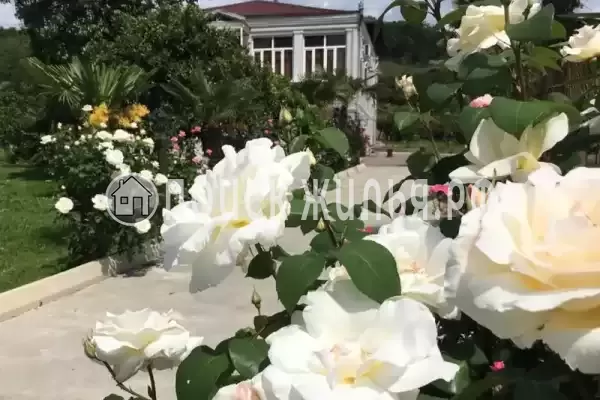 Гостевой дом «Аллея роз», Сухум