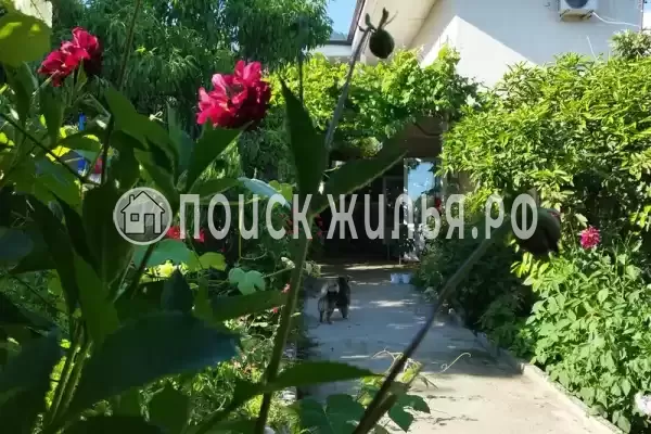 Гостевой дом «Виола», Новый Афон