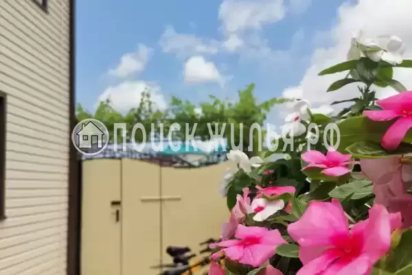 «Амико Club», Ольгинка