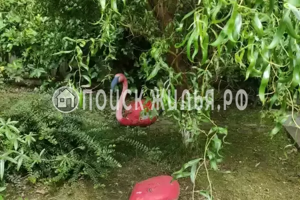 Частный сектор «Аше&Море», Сочи