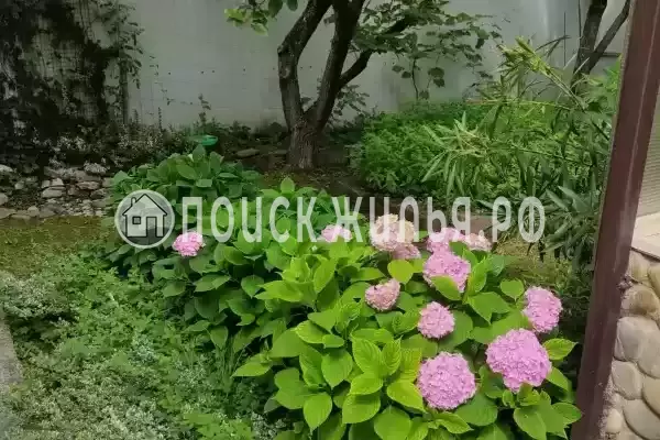 Частный сектор «Аше&Море», Сочи