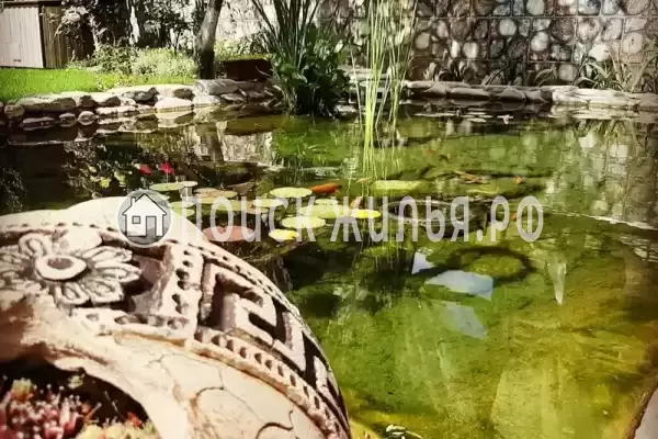 «Солнечный», Агой