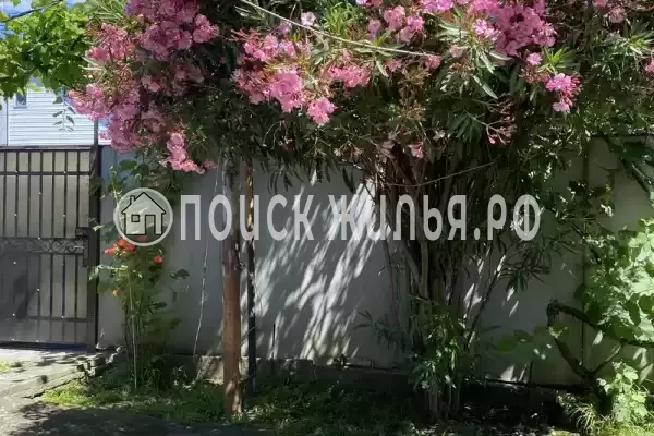 Частный сектор «Комната в доме у моря», Головинка Частный сектор «Комната в доме у моря», Головинка