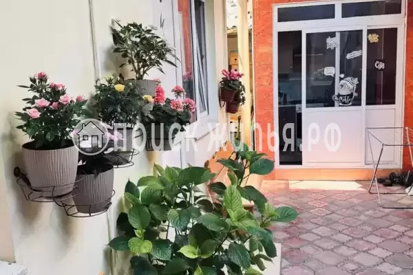 «Ласточка», Лазаревское