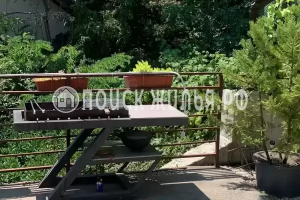 «Луна», Ольгинка «Луна», Ольгинка