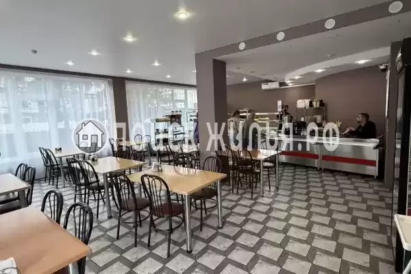 «Amare», Ольгинка «Amare», Ольгинка