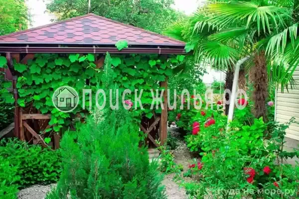 «Sofia», Лазаревское «Sofia», Лазаревское