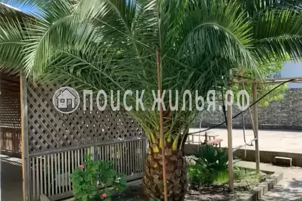 Гостевой дом «Роберт», Цандрипш