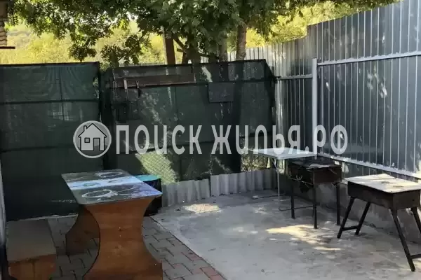 «Талисман», Береговое