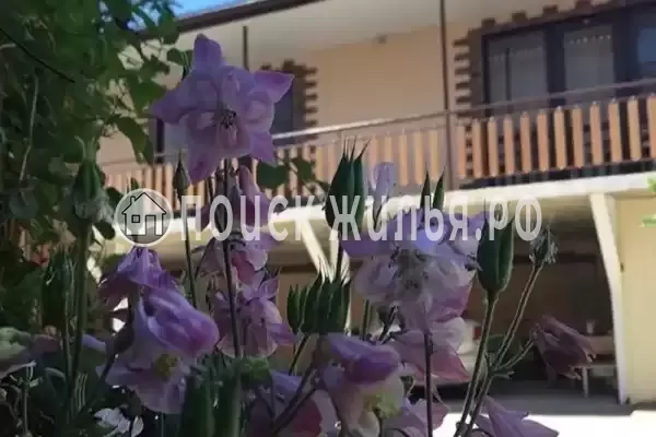 Гостевой дом «Elen», Краснодарский край, Джубга, Южный пререулок, д.6А