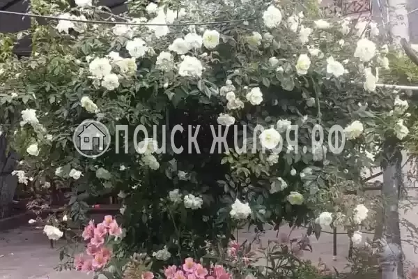 Гостевой дом «Апельсин», Новый Афон Гостевой дом «Апельсин», Новый Афон