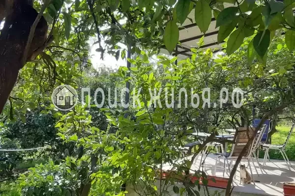 Гостевой дом «Апельсин», Новый Афон Гостевой дом «Апельсин», Новый Афон