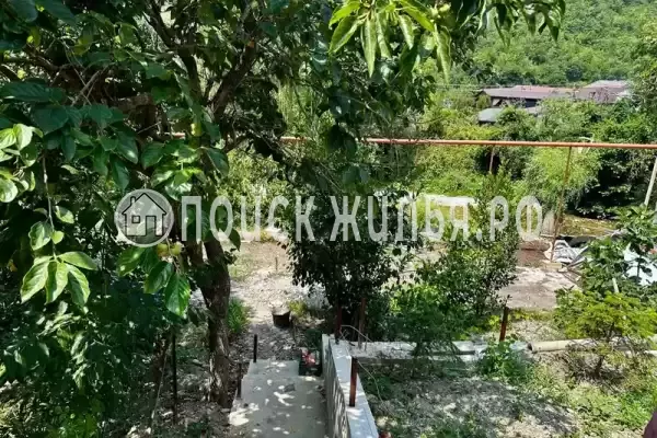 «Надежда», Дедеркой