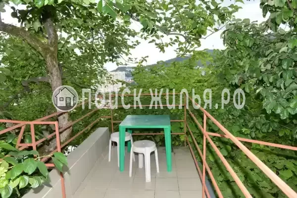 «София», Лазаревское «София», Лазаревское